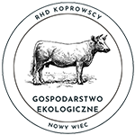 nagłówek logo bez tła 2
